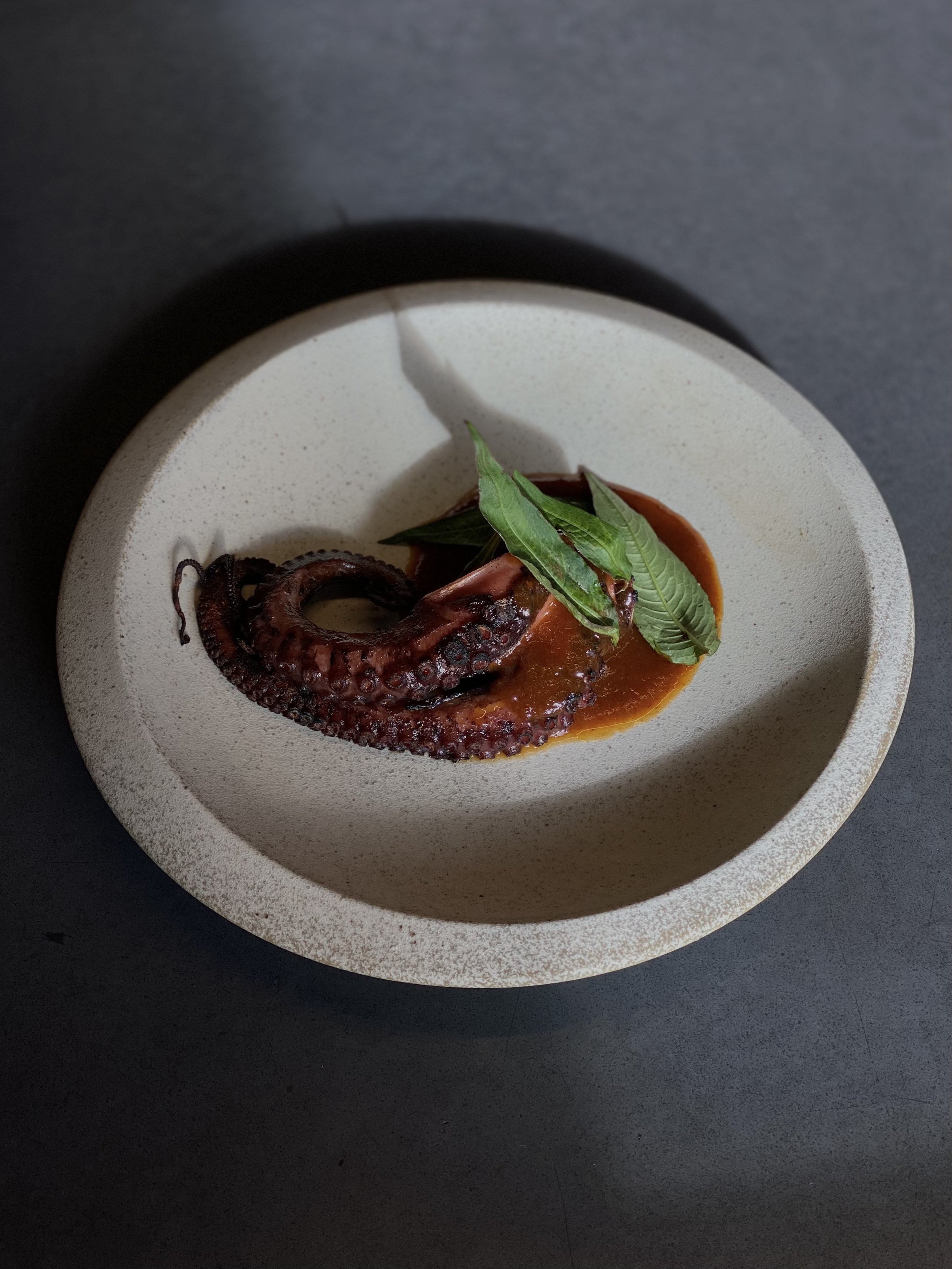 Octopus Tentacle (1).jpg